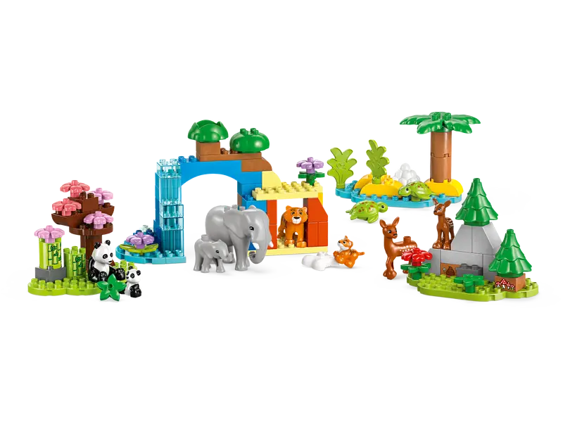 Familles d'animaux sauvages de la ville 3-en-1