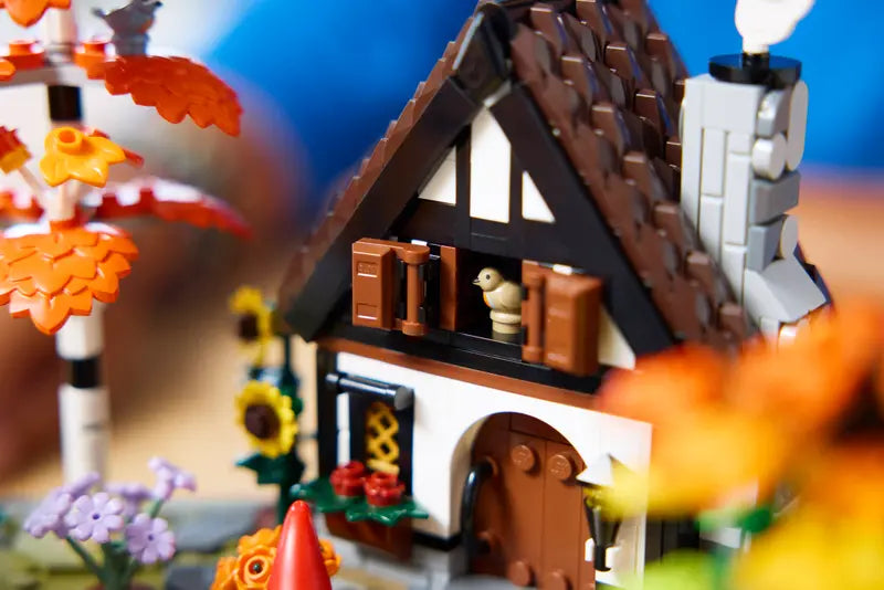 Herbstlicher Bauerngarten (11372)