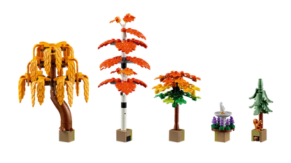 Herbstlicher Bauerngarten (11372)