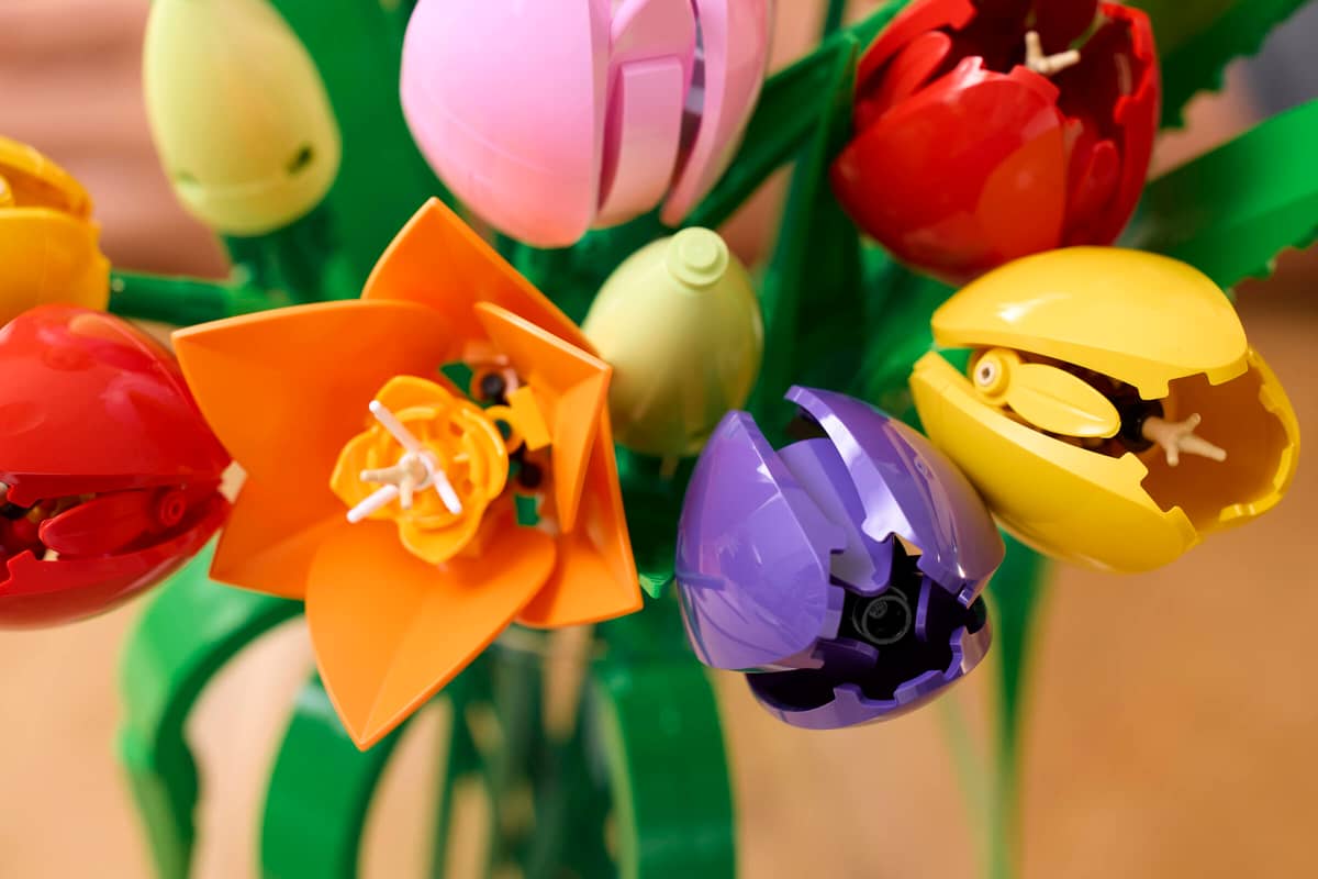 Tulpenstrauß (11501)