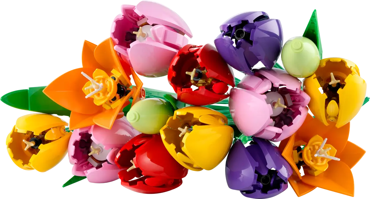 Tulpenstrauß (11501)