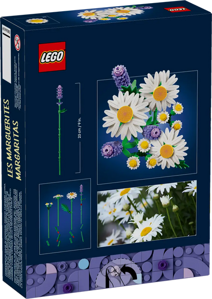 Gänseblümchen (11508)