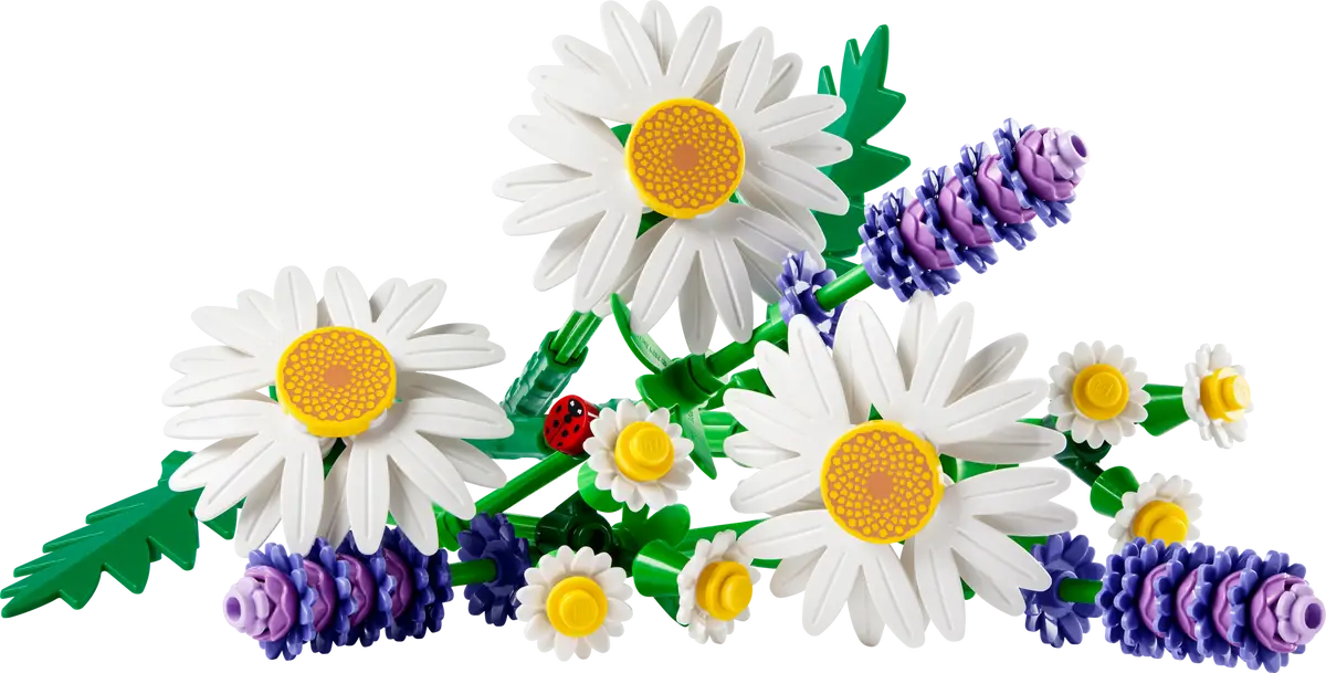 Gänseblümchen (11508)