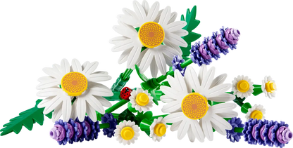 Gänseblümchen (11508)