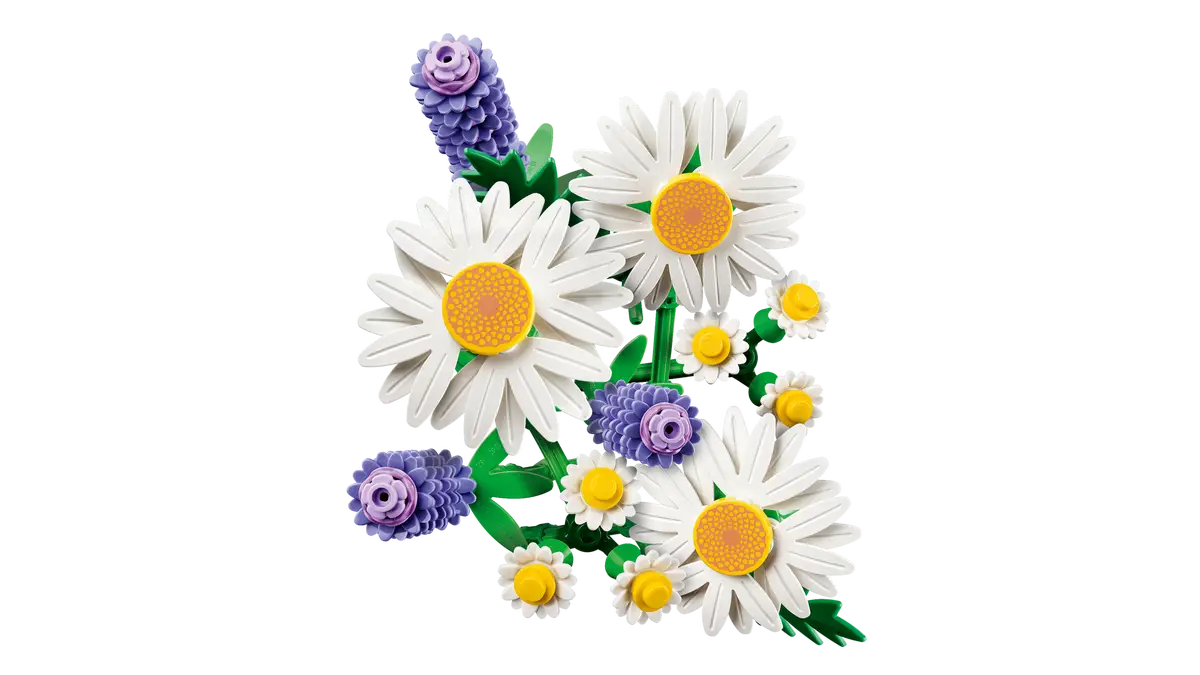 Gänseblümchen (11508)