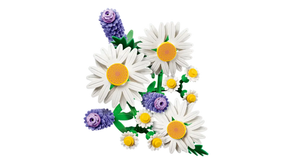 Gänseblümchen (11508)