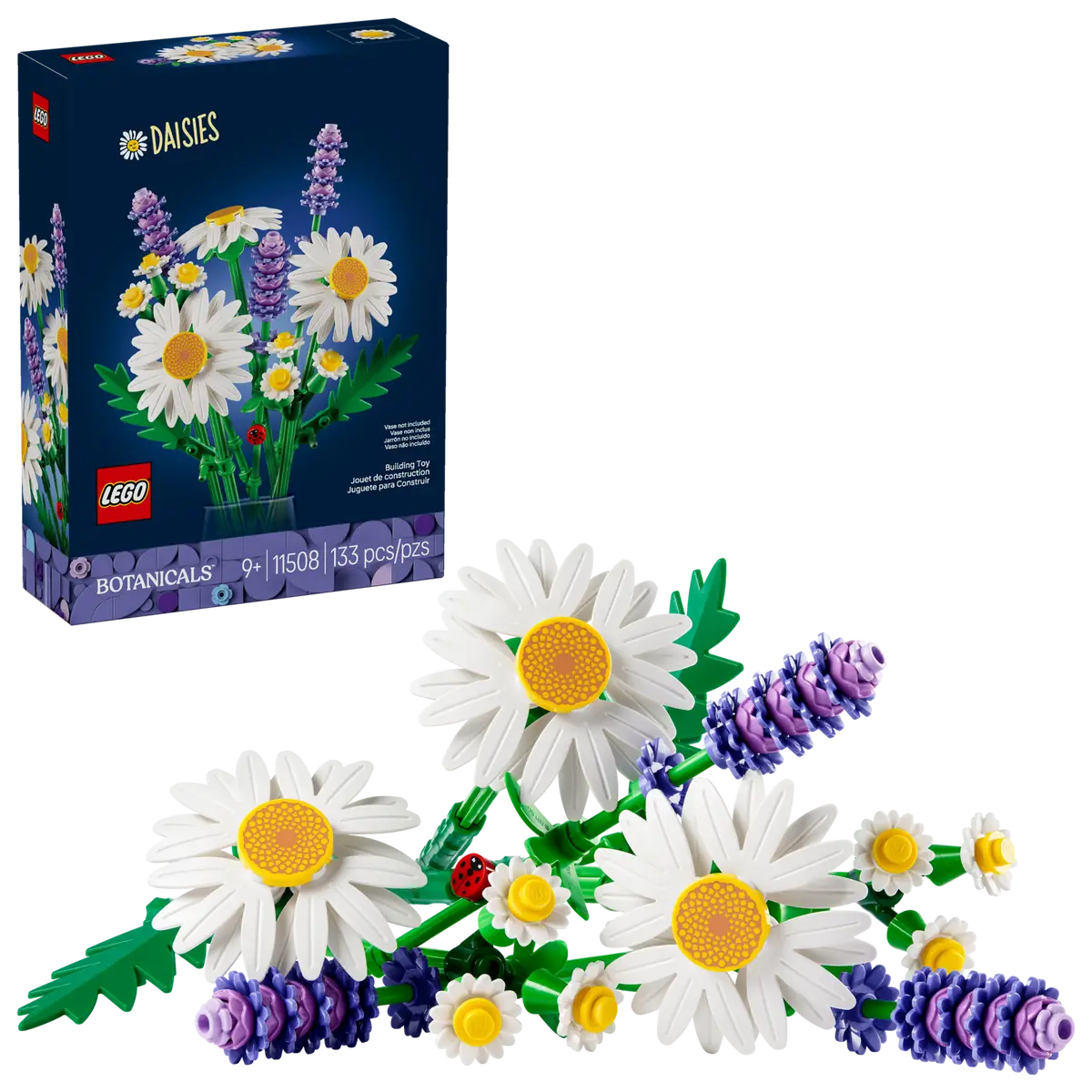 Gänseblümchen (11508)