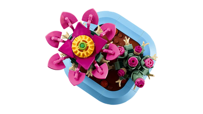 Cactus in fiore (11509)