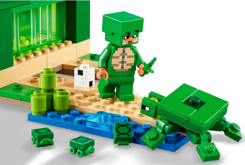 La maison de Turtle Beach (21254)