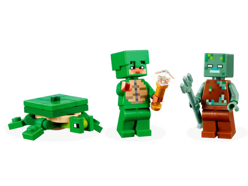 La maison de Turtle Beach (21254)