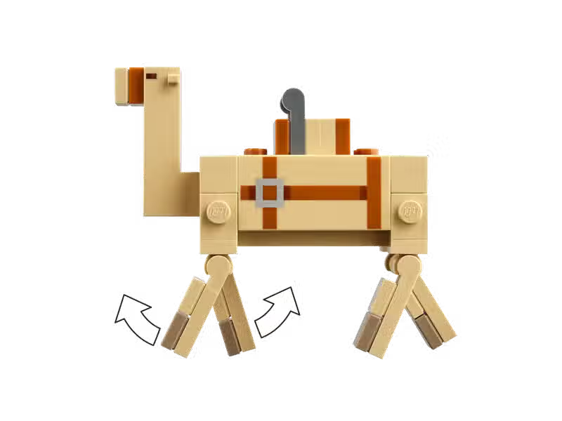 Piratenschifffahrt (21259)