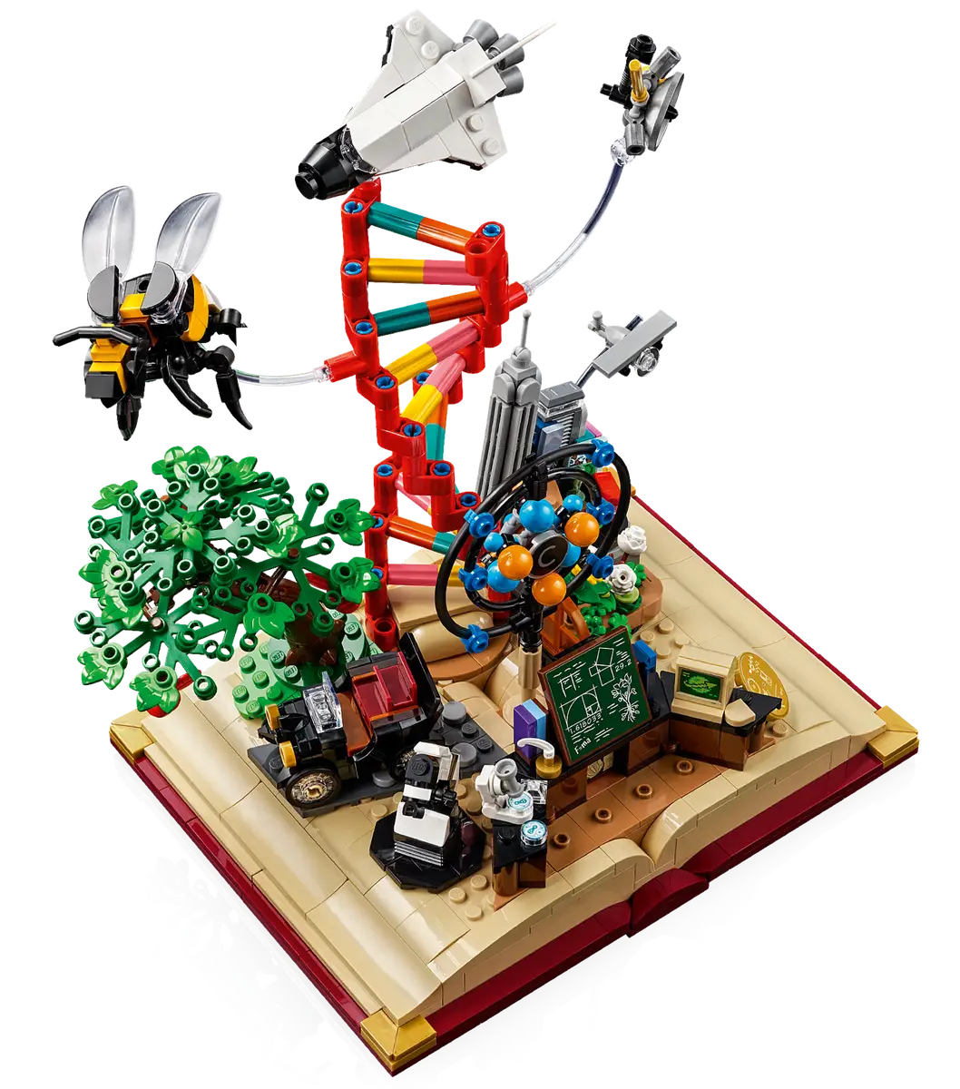 L'évolution des STEM (21355)