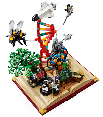 L'évolution des STEM (21355)