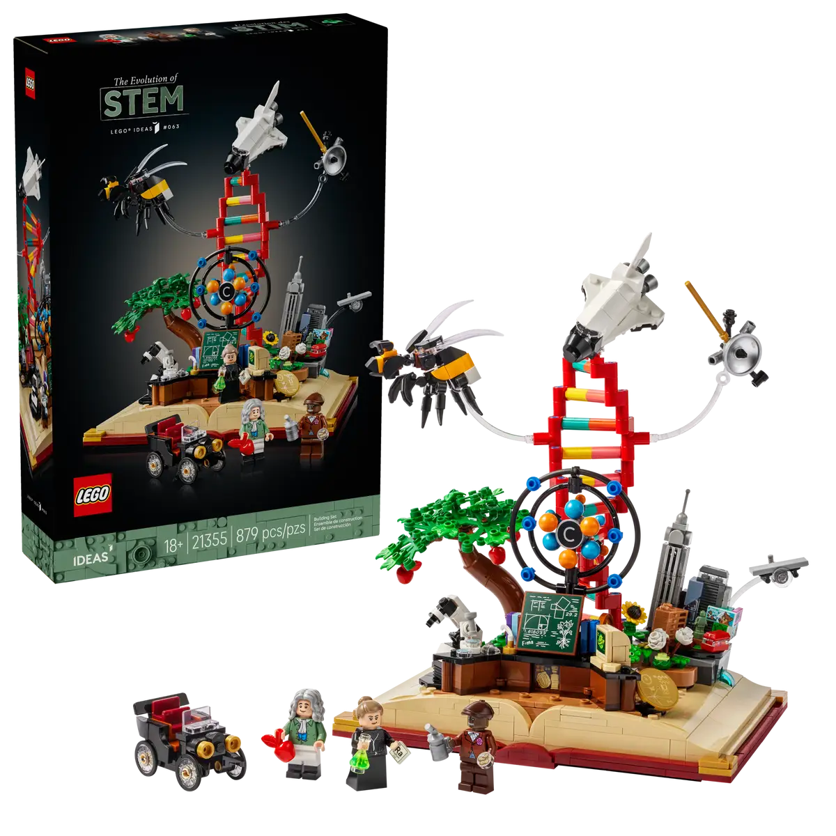 L'évolution des STEM (21355)