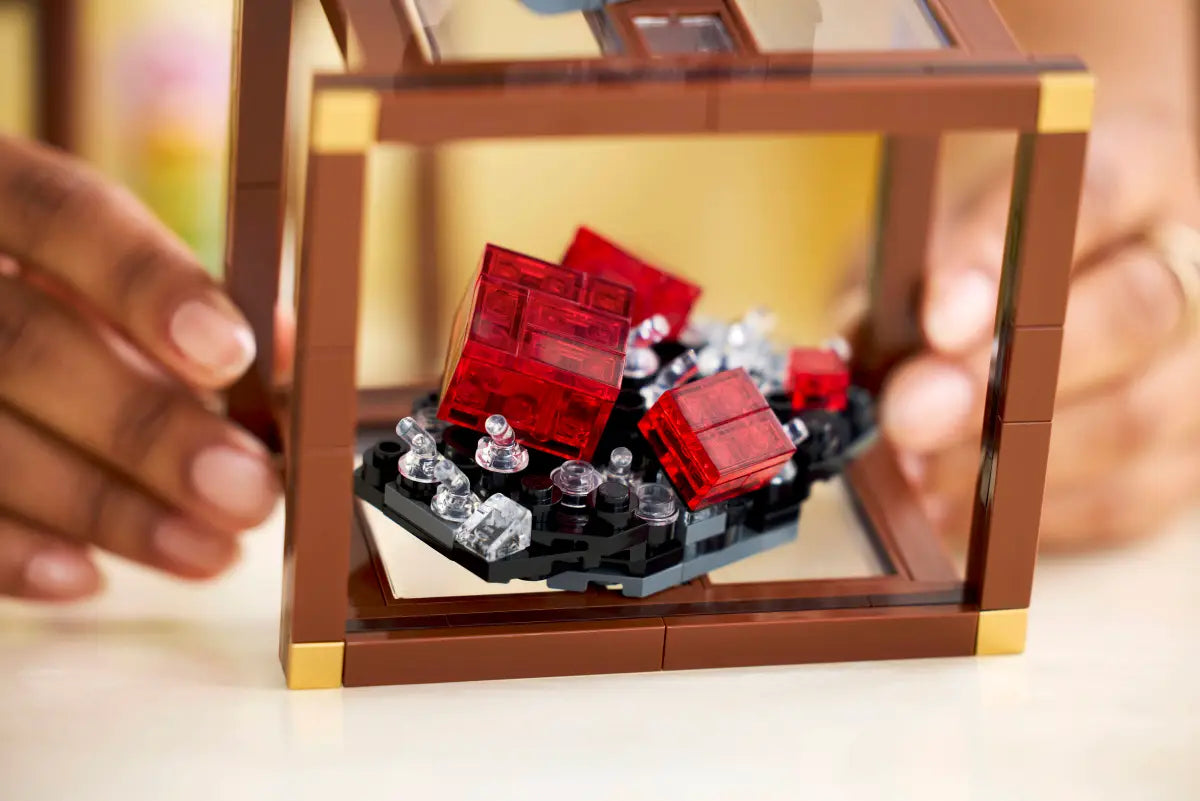 Collection de minéraux (21362)