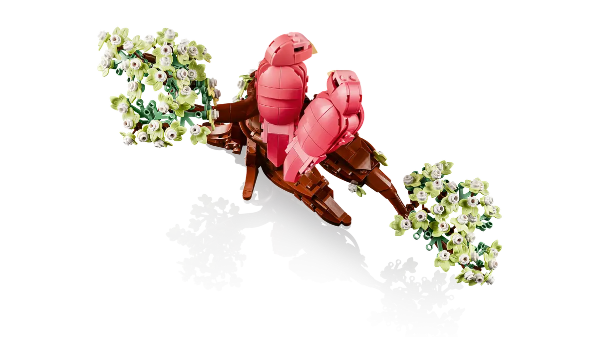 Inséparables (21365)