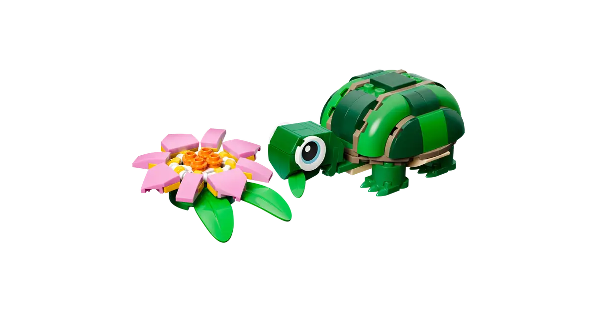Schildkröte mit Seerosenblume (31377)