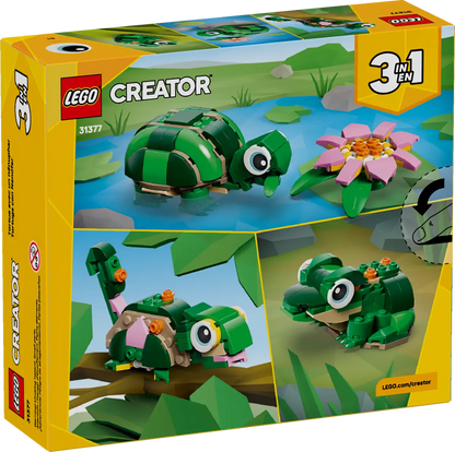 Schildkröte mit Seerosenblume (31377)