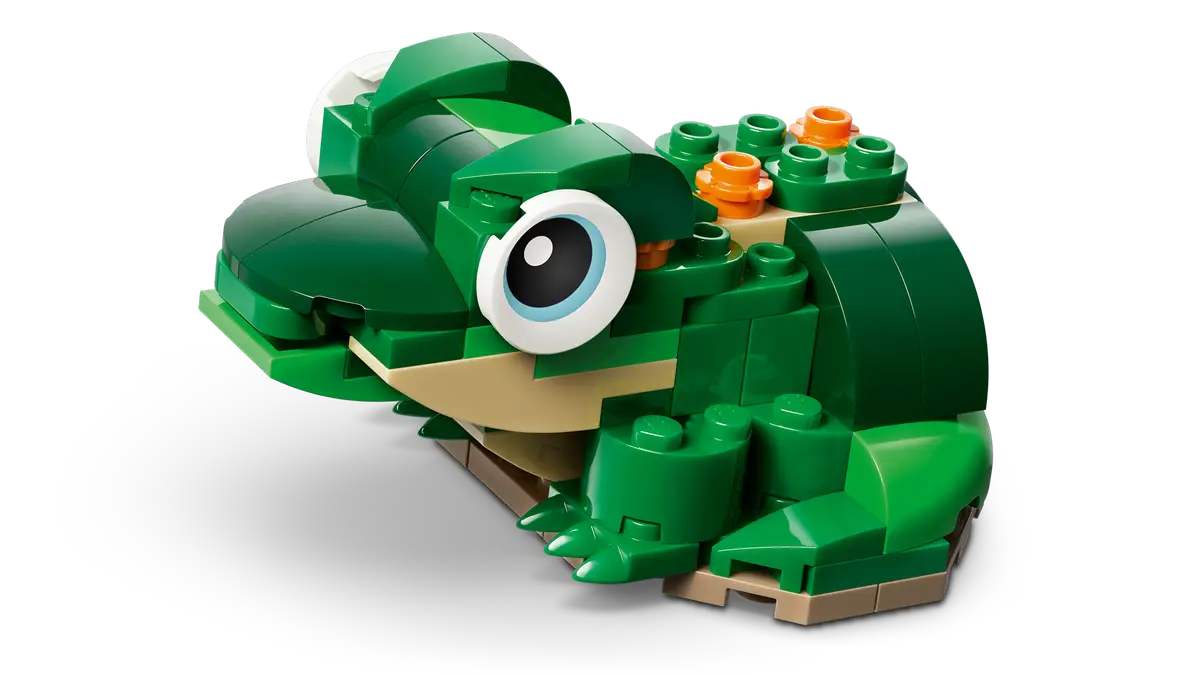 Schildkröte mit Seerosenblume (31377)