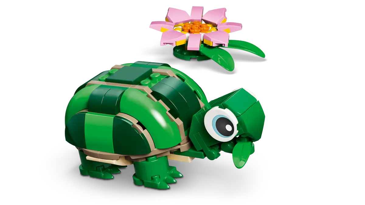 Schildkröte mit Seerosenblume (31377)