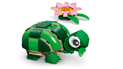 Schildkröte mit Seerosenblume (31377)