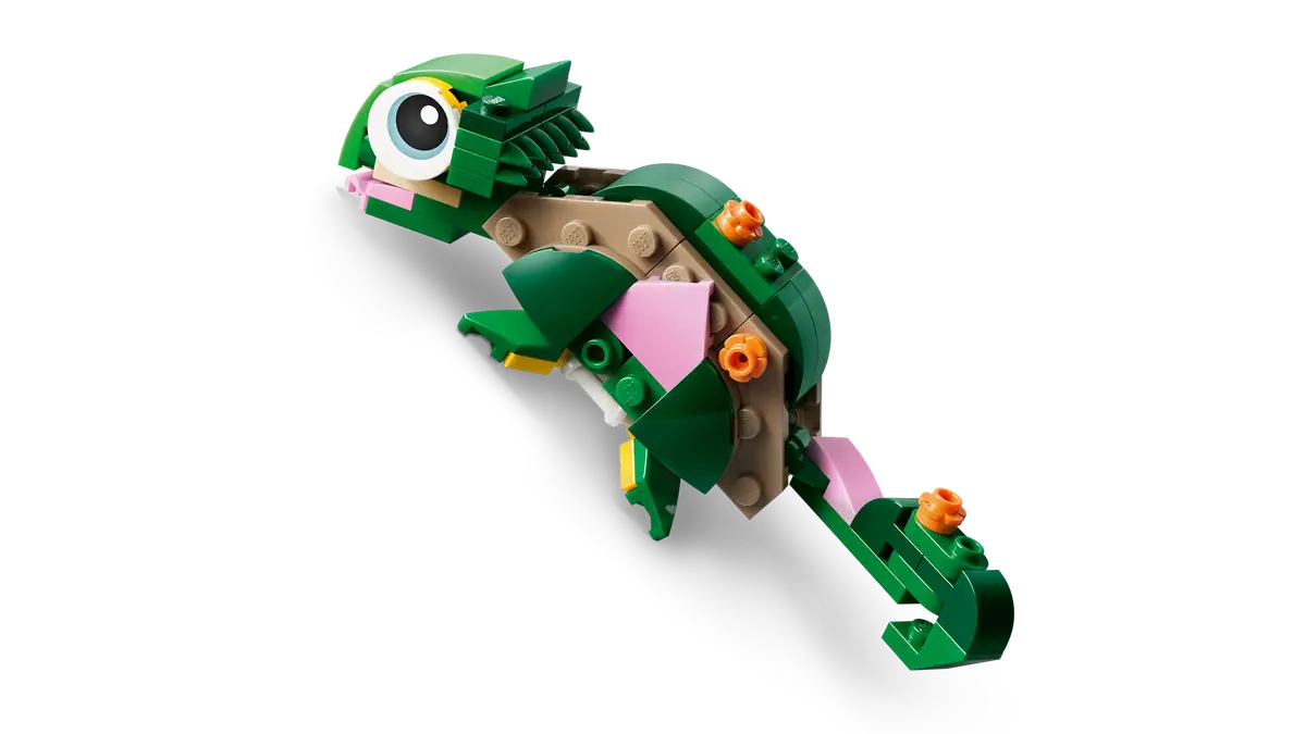 Schildkröte mit Seerosenblume (31377)