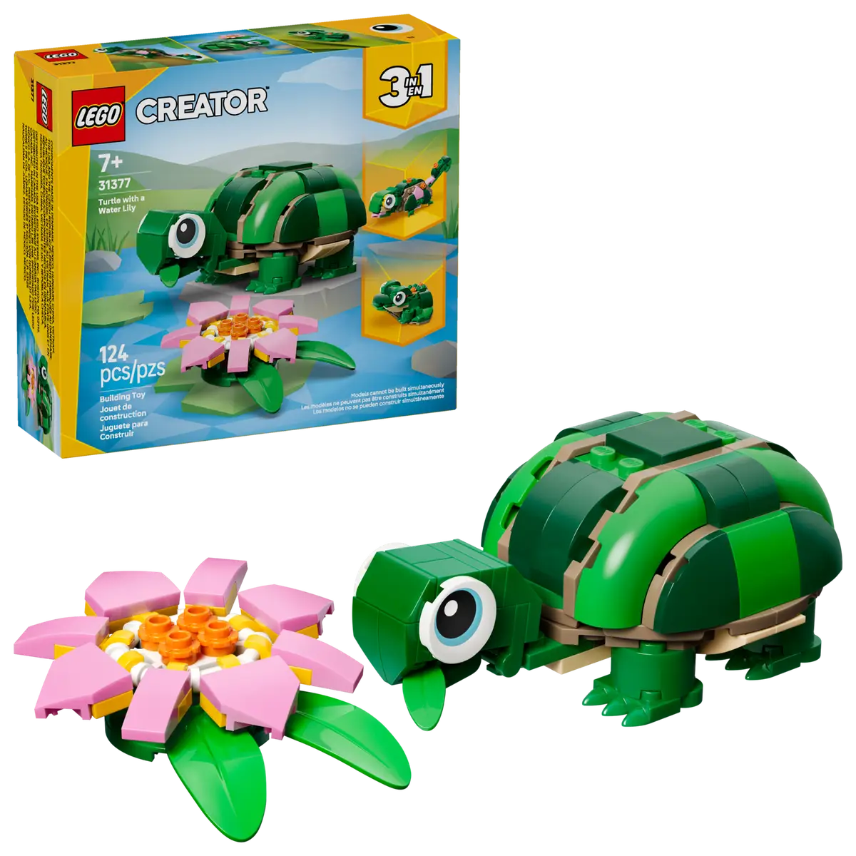 Schildkröte mit Seerosenblume (31377)