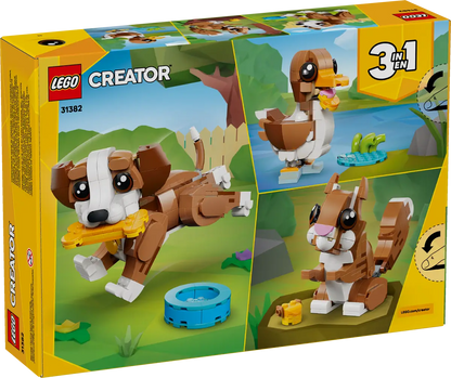 Niedliche Tiere, verspielter Hündchen (31382)