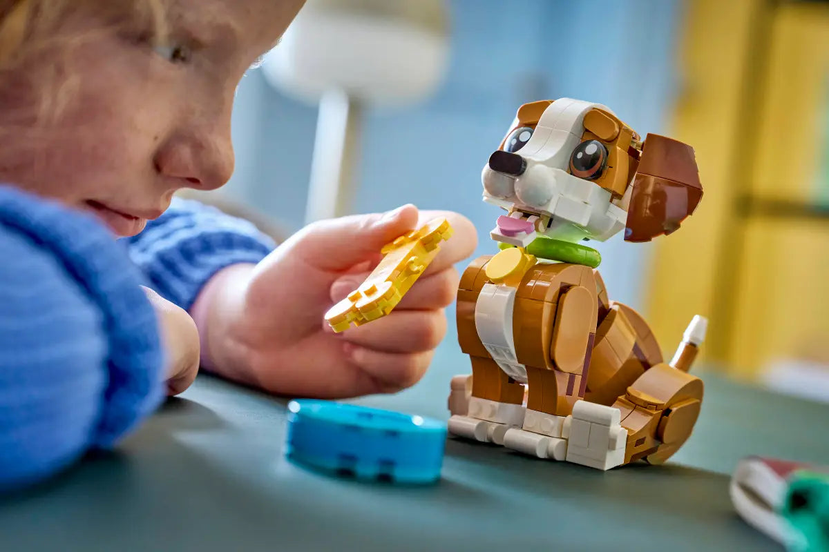 Niedliche Tiere, verspielter Hündchen (31382)