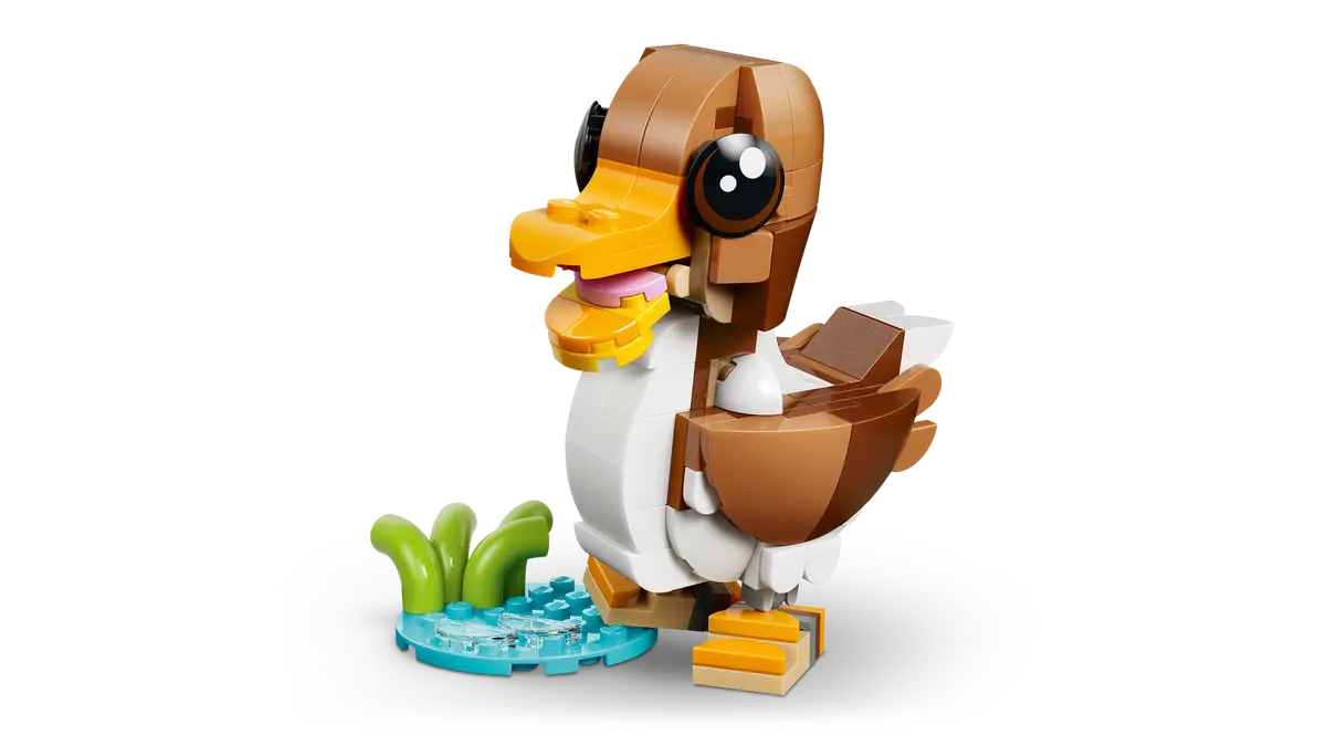 Niedliche Tiere, verspielter Hündchen (31382)