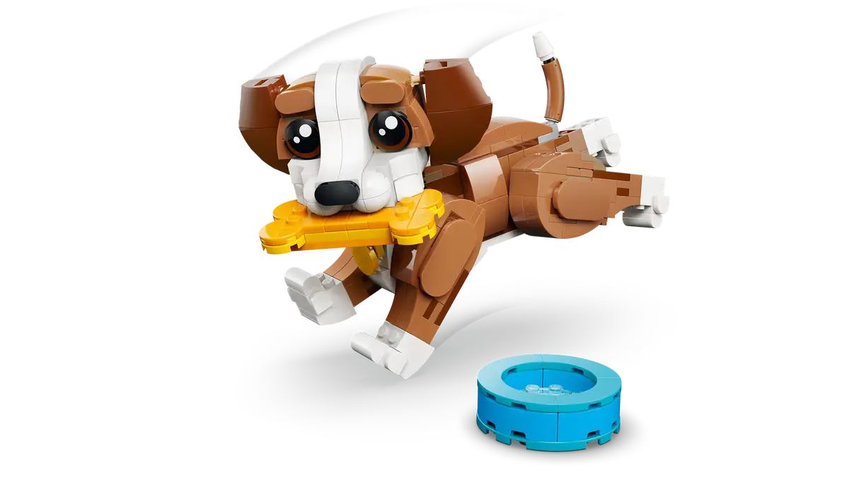 Niedliche Tiere, verspielter Hündchen (31382)