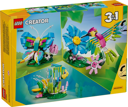 Wilde Tiere Bunter Kolibri (31384)