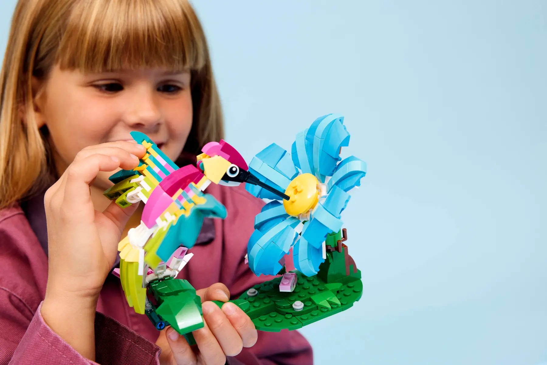 Wilde Tiere Bunter Kolibri (31384)