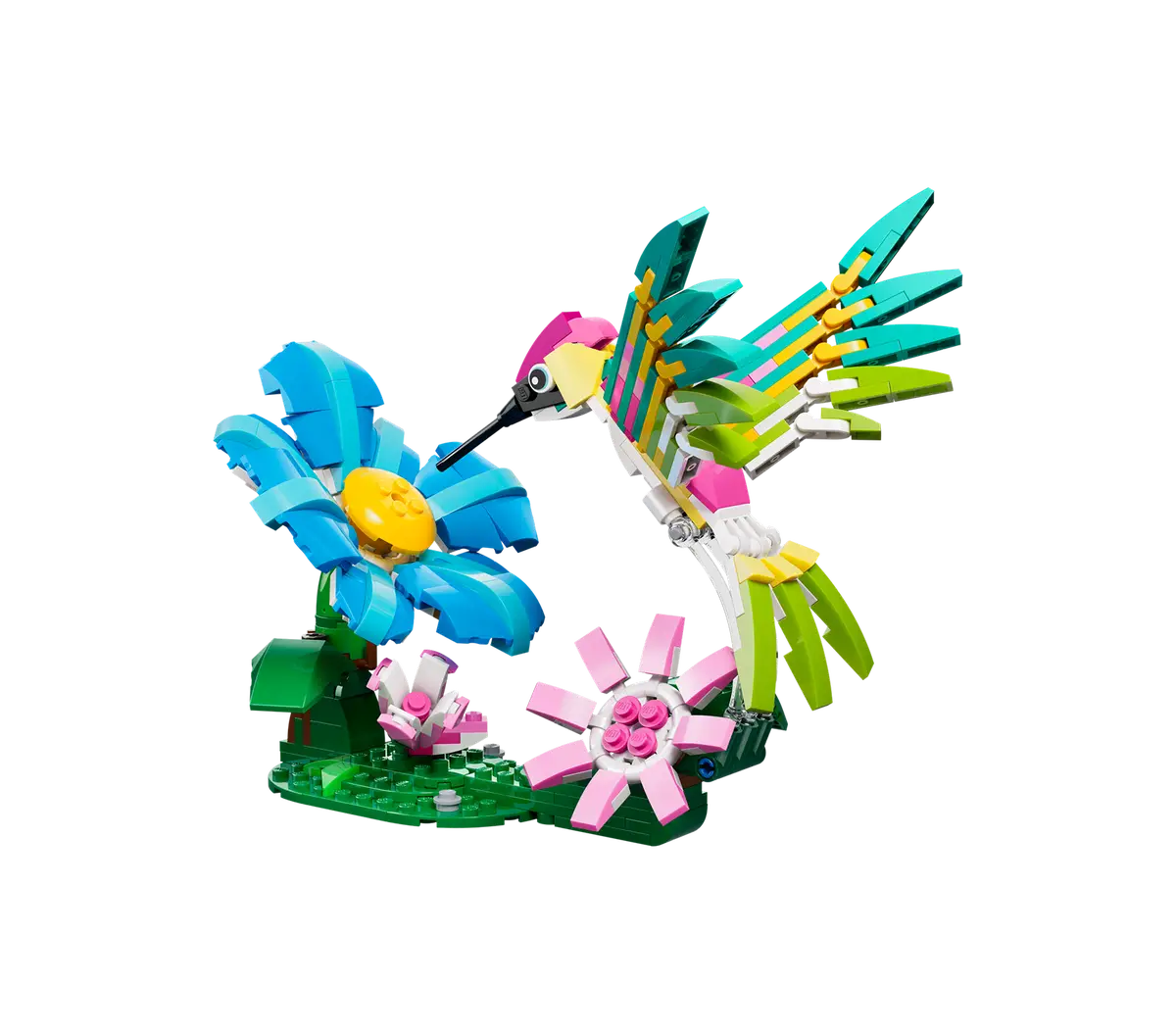 Wilde Tiere Bunter Kolibri (31384)