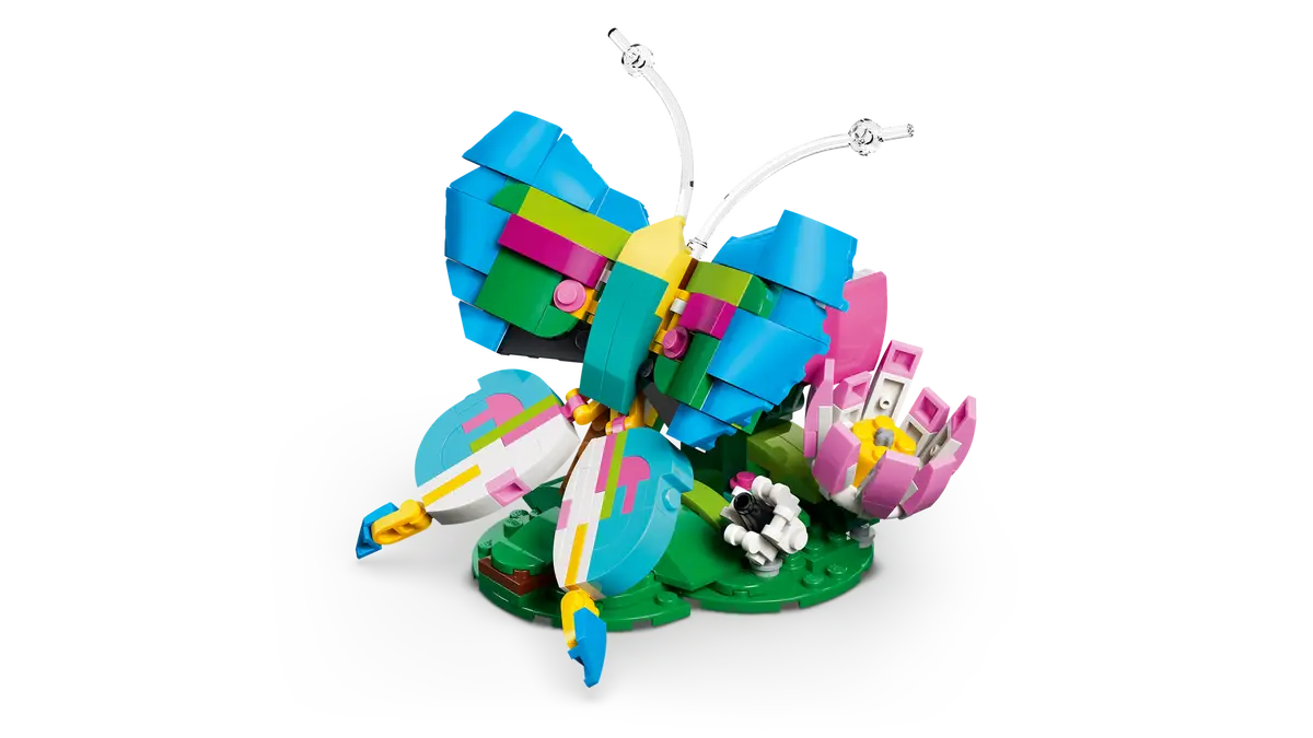 Wilde Tiere Bunter Kolibri (31384)