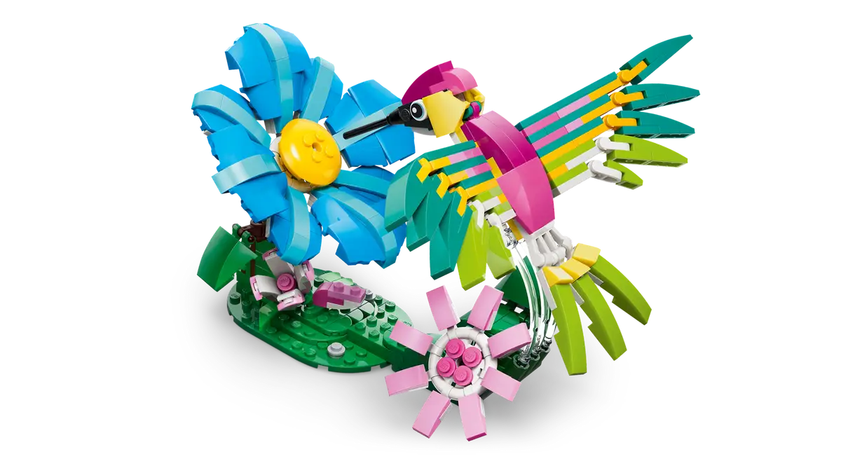 Wilde Tiere Bunter Kolibri (31384)