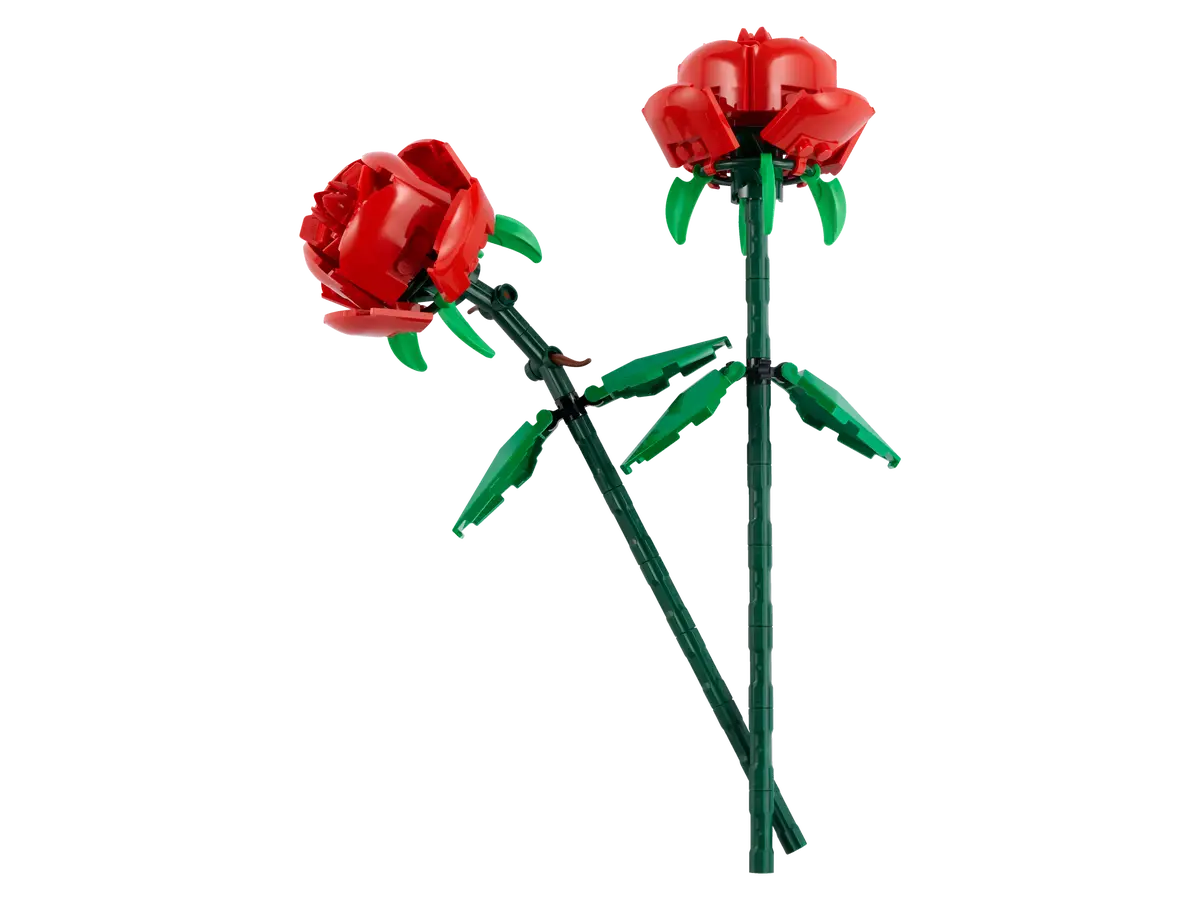 Rosen (40460)