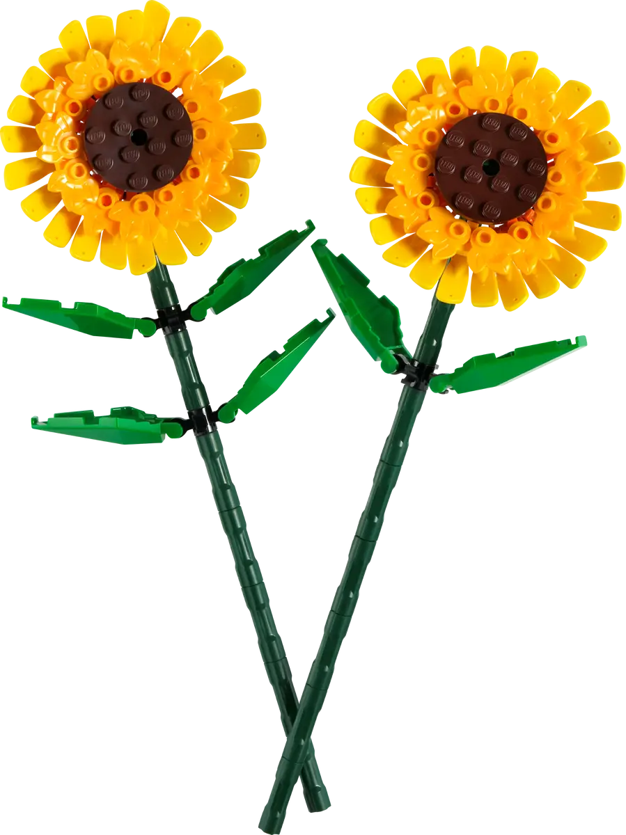 Sonnenblumen (40524)