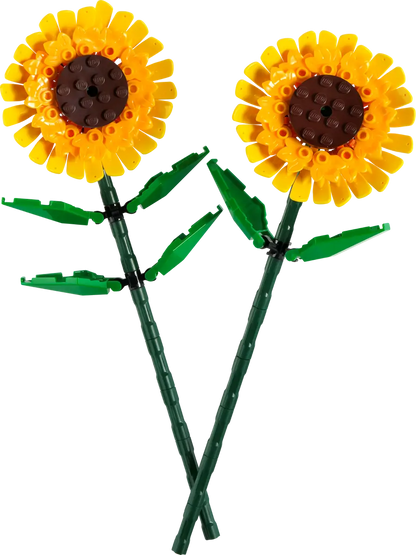 Sonnenblumen (40524)
