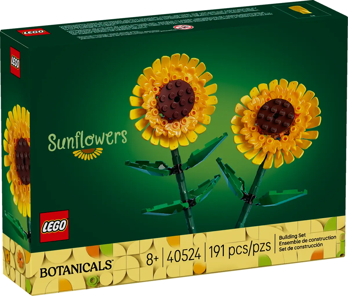 Sonnenblumen (40524)