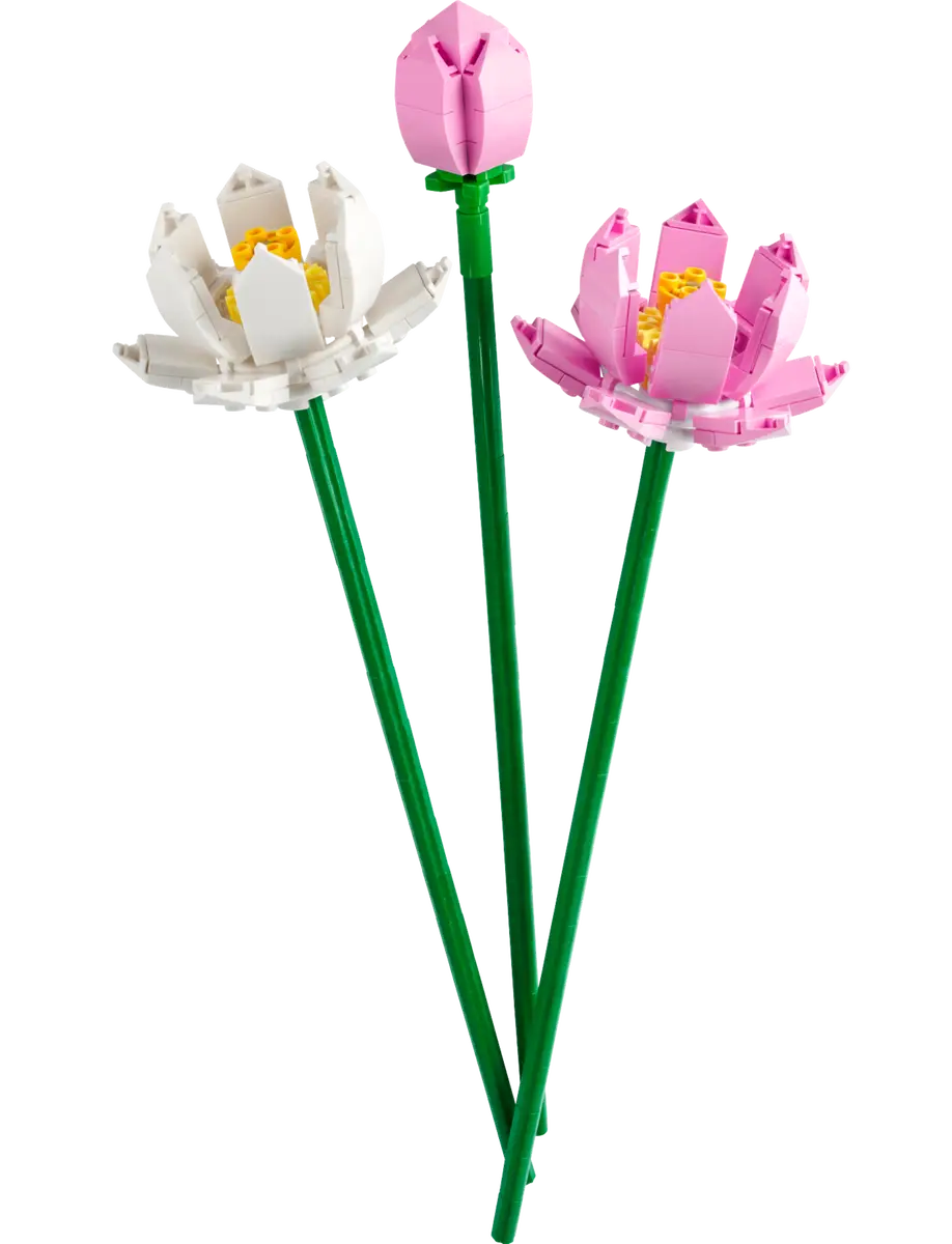 Baukasten „Lotusblumen“ (40647).