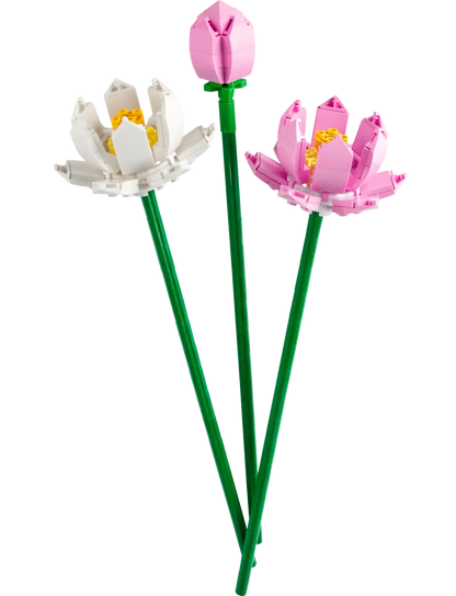 Baukasten „Lotusblumen“ (40647).