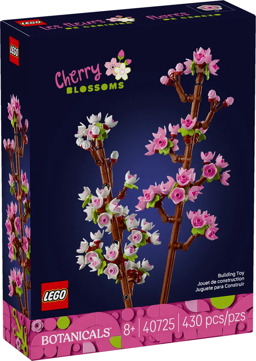 Kirschblüten (40725)