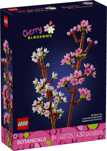 Kirschblüten (40725)