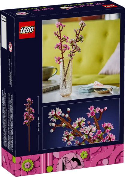 Kirschblüten (40725)