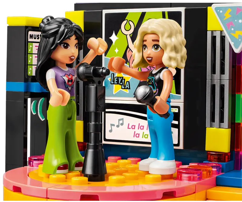 Festa musicale con karaoke (42610)