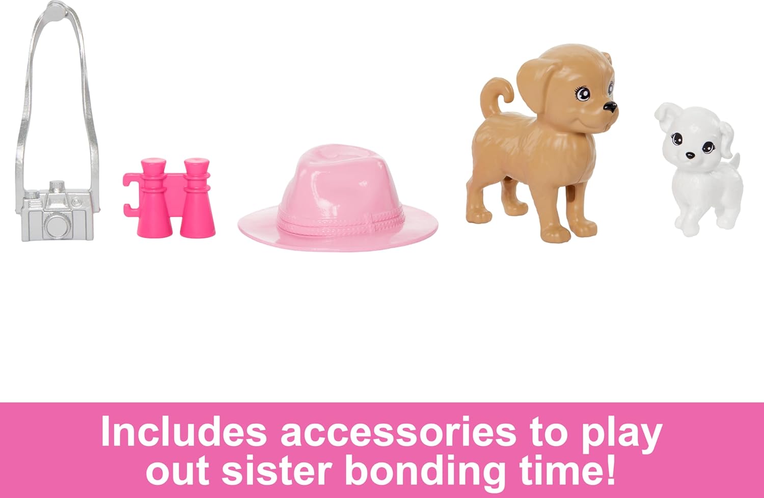 Ensemble de poupées Barbie et Stacie