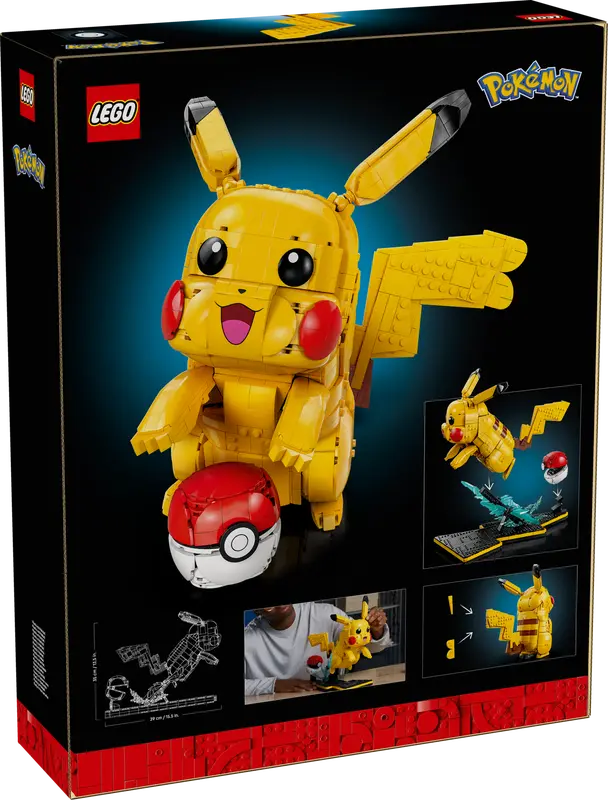Pikachu und Pokéball (72152)
