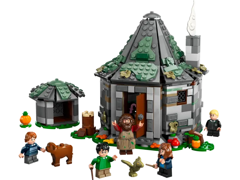 La capanna di Hagrid Visita di Harry Potter e dei suoi amici (76428)