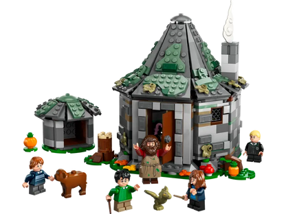 Visite de la cabane de Hagrid Harry Potter et ses amis (76428)